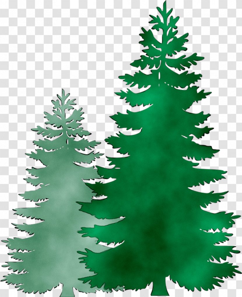 Clip Art Pine Fir Image Spruce - Terrestrial Plant - Family Transparent PNG