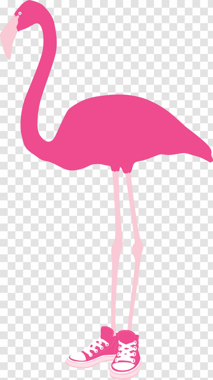 Apopka Mount Dora Flamingo Florida Hospital Waterman Tavares - 5k Run Transparent PNG
