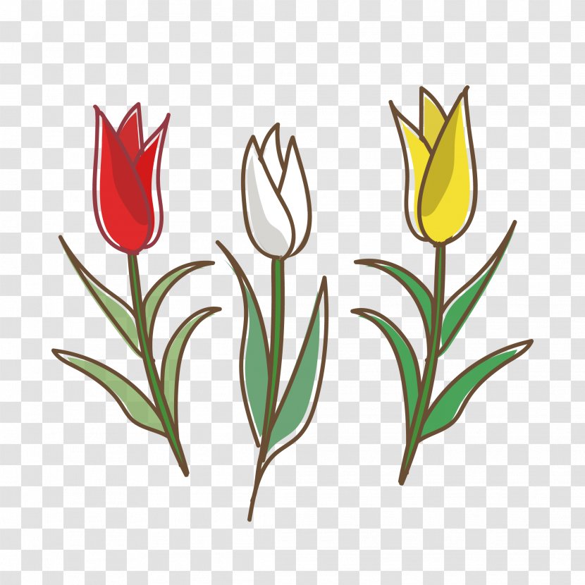 Tulip White Flower Yellow Graphics - Red Transparent PNG