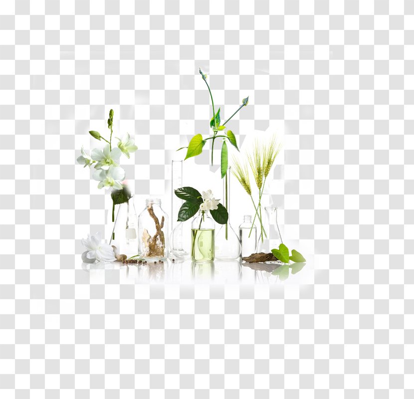 Glass Transparency And Translucency Bottle - Plant - Floral Transparent PNG