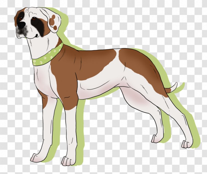 Dog Breed Italian Greyhound Whippet Pit Bull Terrier - Neck Transparent PNG
