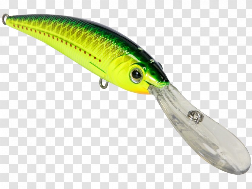 Fishing Rods Spoon Lure Baits & Lures Mexico - Reed Transparent PNG
