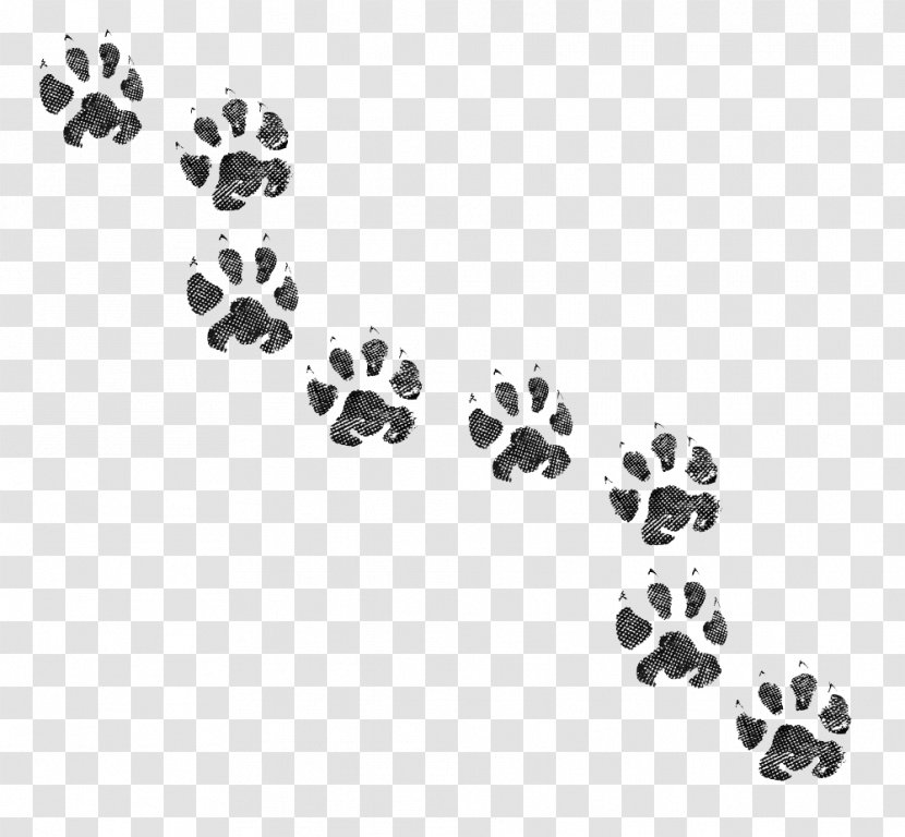 Dog Cat Paw Animal Track Footprint - Monochrome Transparent PNG