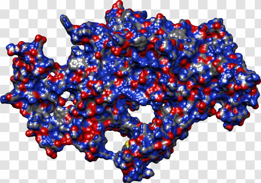 Bispecific Monoclonal Antibody Virus Sterilization Immunoglobulin G - Cytotoxicity - Particle Transparent PNG