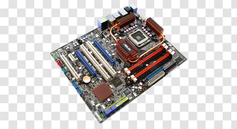 Graphics Cards & Video Adapters Computer Hardware Motherboard Microcontroller Network - Personal - Asus Layout Transparent PNG