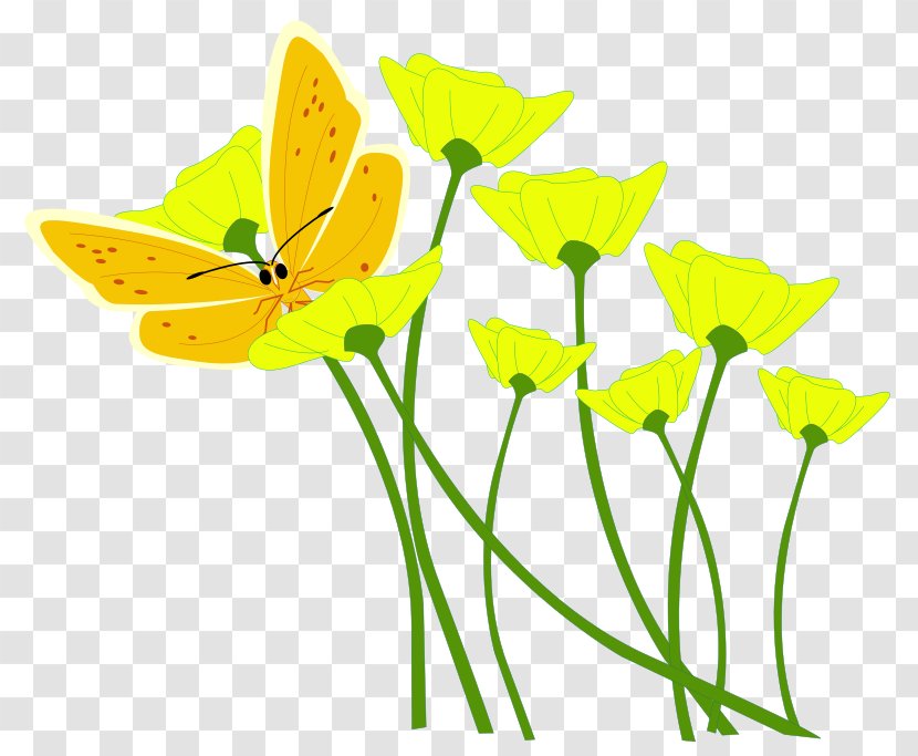 Flower Yellow Clip Art - Moths And Butterflies Transparent PNG