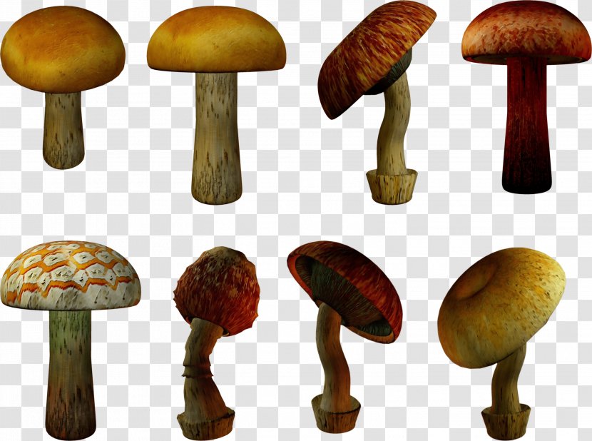 Mushroom Cartoon - Champignon - Oyster Pleurotus Eryngii Transparent PNG
