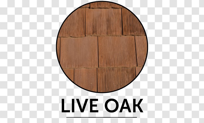 Varnish Hardwood Wood Stain Product Design - Live Oak Transparent PNG
