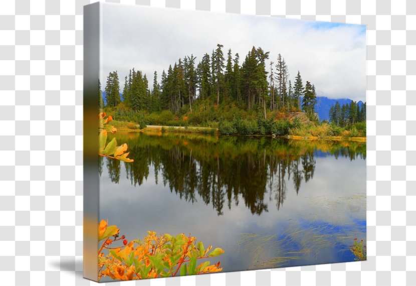 Water Resources Pond Gallery Wrap Ecosystem Canvas - Lake - Leaf Transparent PNG