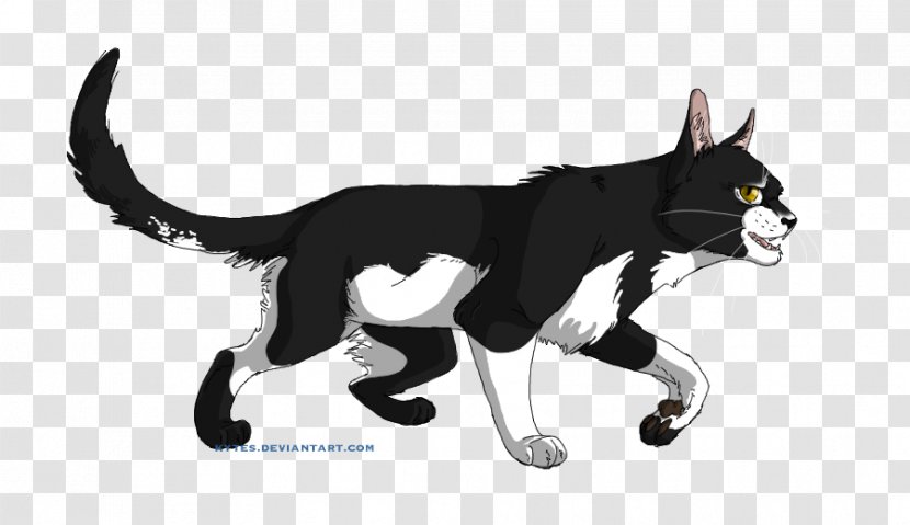 Cats Of The Clans Warriors Tallstar Book - Cat Like Mammal Transparent PNG
