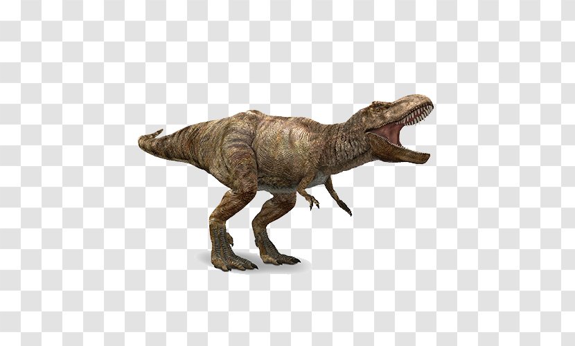 Tyrannosaurus Apatosaurus Spinosaurus Velociraptor Stegosaurus Transparent PNG