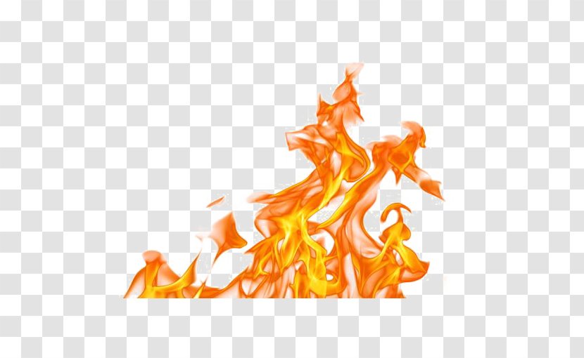 Flame Fire Combustion Icon - Petal - Golden Transparent PNG