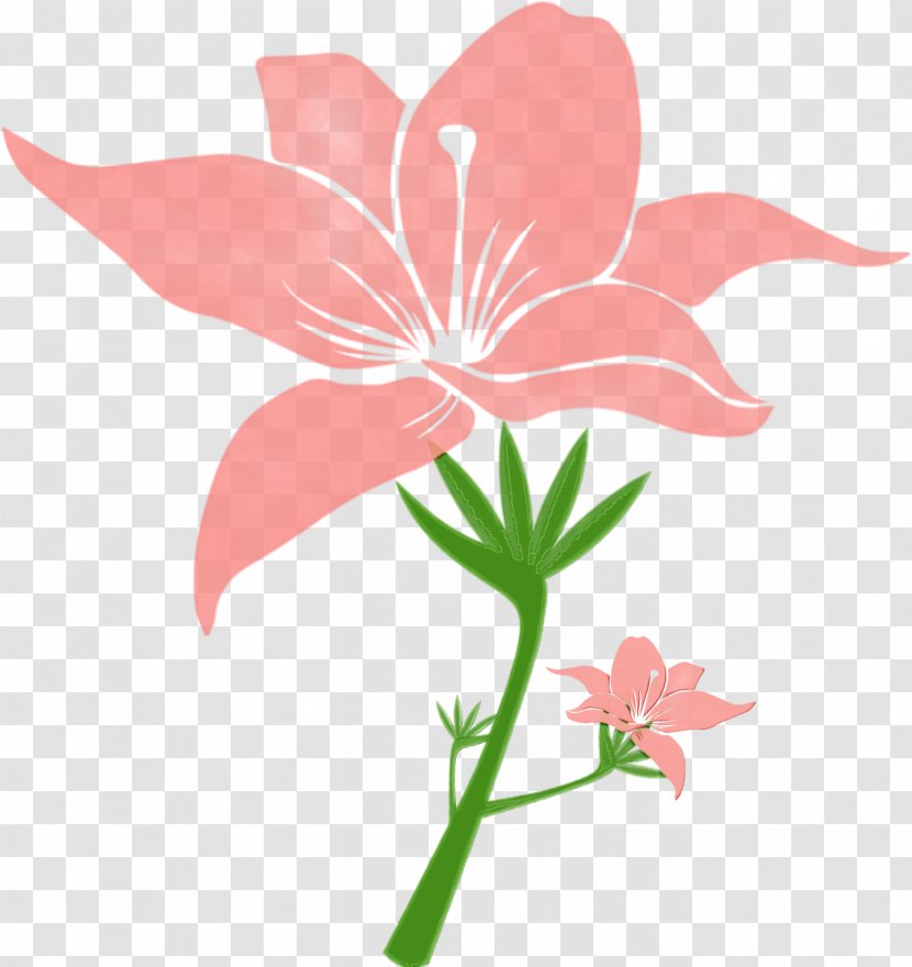Floral Design - Pink - Cut Flowers Geranium Transparent PNG