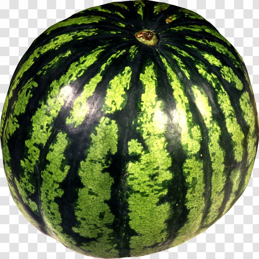 Citrullus Lanatus Var. Clip Art - Watermelon Image Transparent PNG