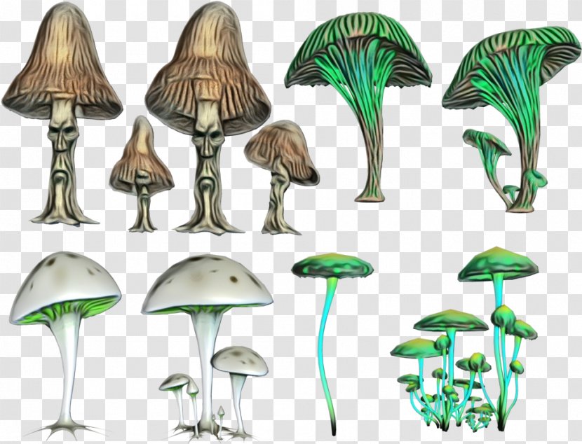 Mushroom Cartoon - Panaeolus Africanus - Agaric Plant Stem Transparent PNG