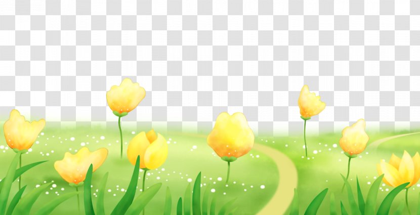 Tulip Plant Cartoon - Seed - Tulips Grass Transparent PNG