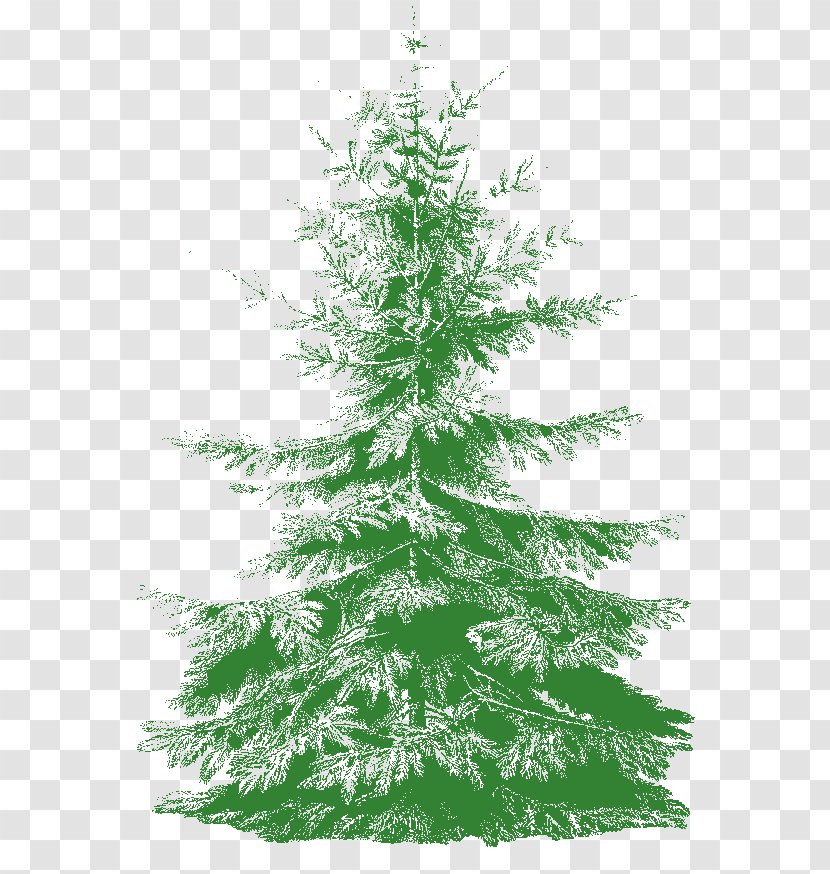 Spruce Christmas Tree Fir Throw Pillows - Roman Transparent PNG