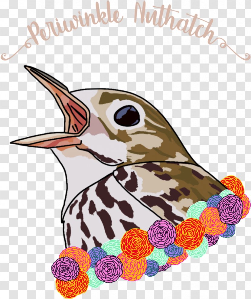 Hummingbird - Cuckoo - Perching Bird Transparent PNG