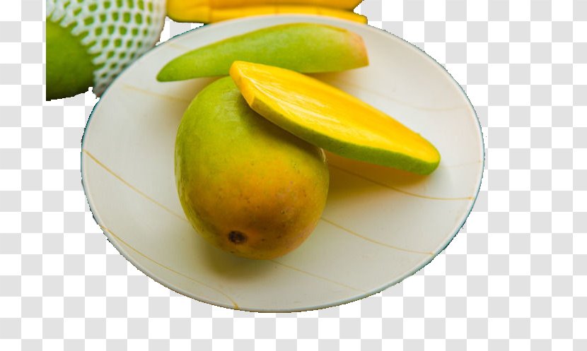 Tamarind Fruit Auglis Vegetable - Search Engine - Honey Transparent PNG