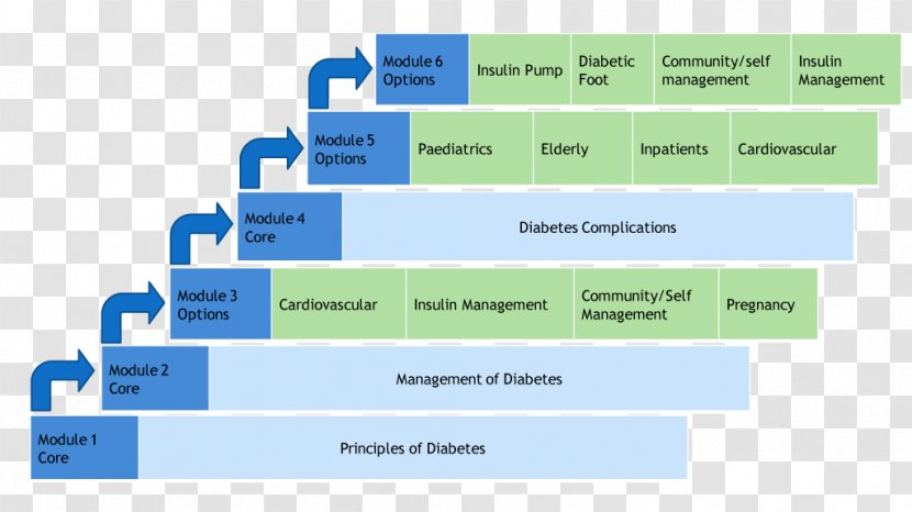 Diabetes Mellitus Diploma Course Postgraduate Education Certificate - Disease Transparent PNG