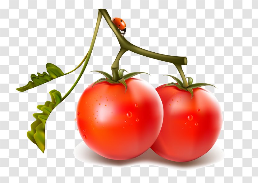 Vegetable Cherry Tomato Juice - Local Food Transparent PNG