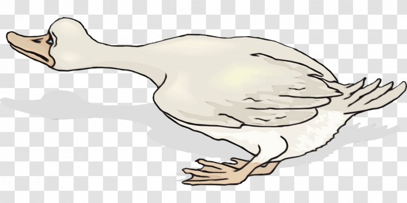 Watercolor Cartoon - Finger - Thumb Transparent PNG