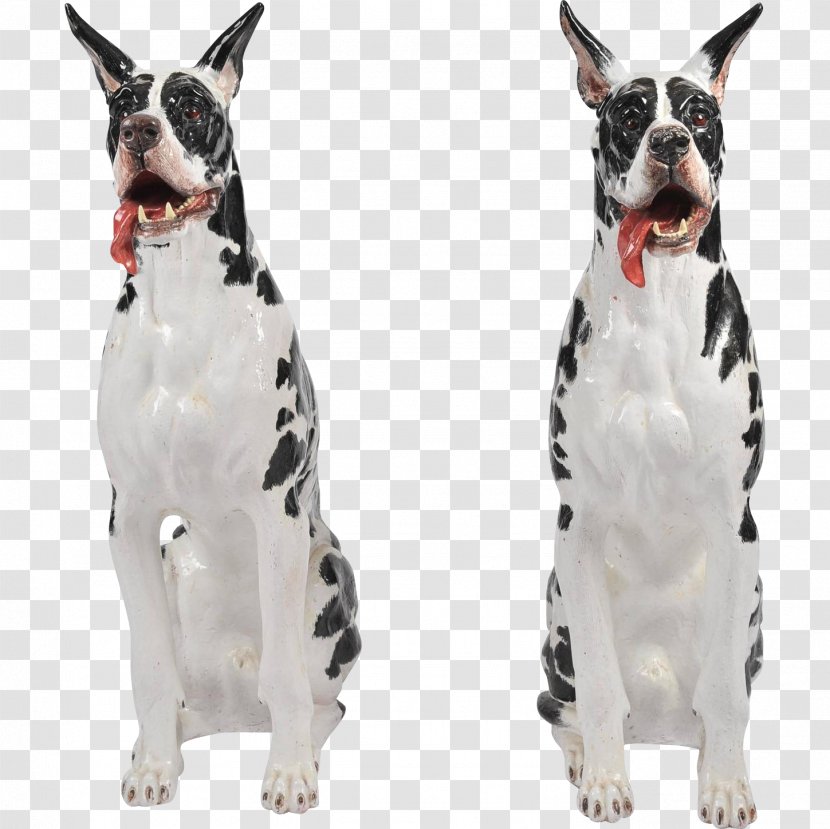 Great Dane Boston Terrier Dog Breed Boxer Italy - Porcelain Transparent PNG