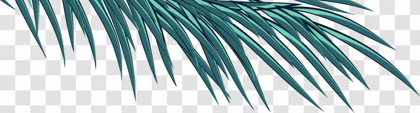 Arecaceae Blue Turquoise Green Teal - Branch Transparent PNG