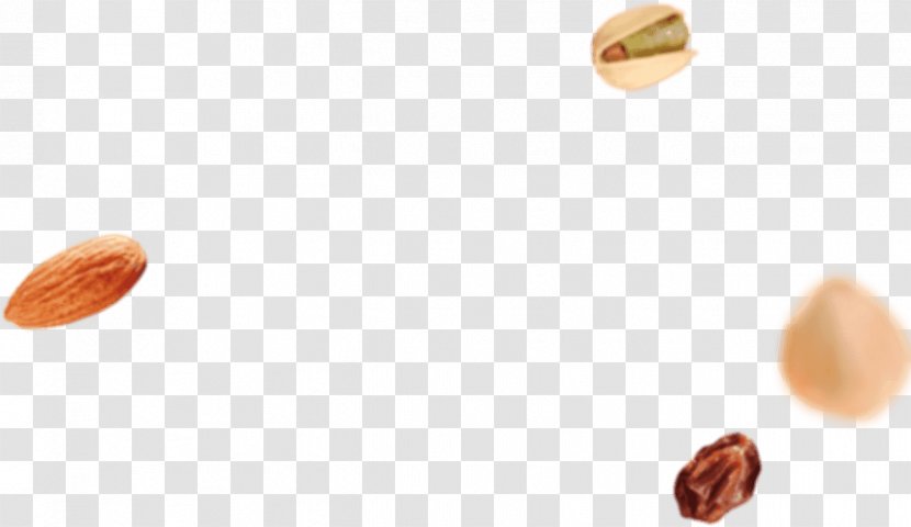 Peanut Superfood Commodity - Design Transparent PNG