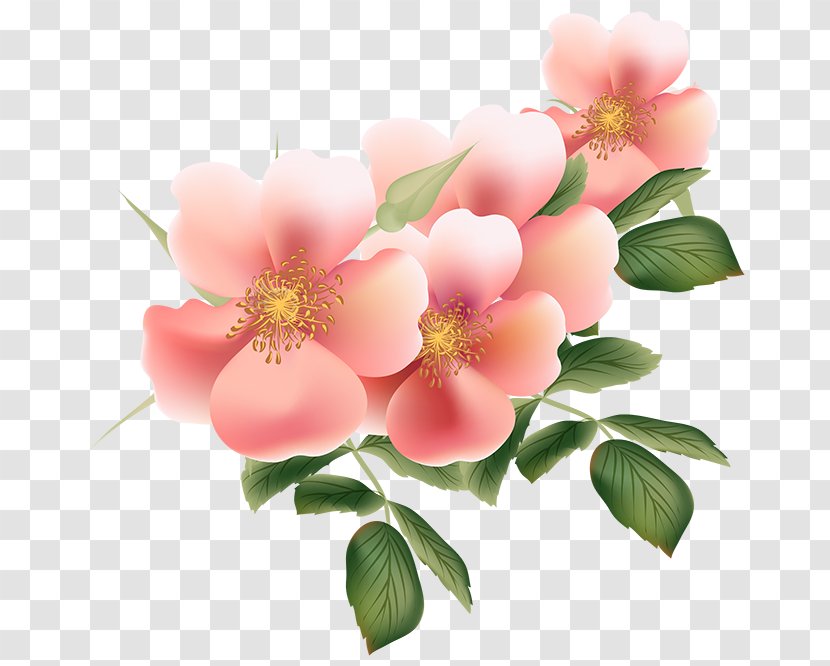 Flower Bouquet Garden Roses Clip Art - Blume - 5 De Mayo Transparent PNG