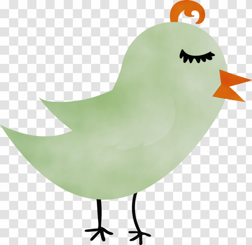 Bird Beak Perching Bird Sparrow Transparent PNG