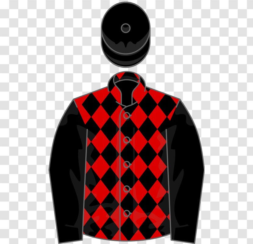 Wikimedia Commons Foundation Thoroughbred Wikipedia Upavon Fillies' Stakes - Outerwear - Owners Transparent PNG