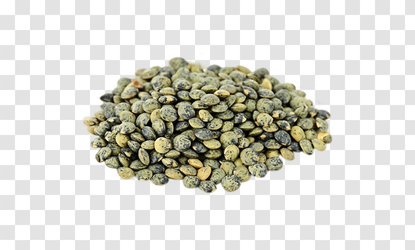 Dal Le Puy Green Lentil Food Common Bean - Seed - Cooking Transparent PNG