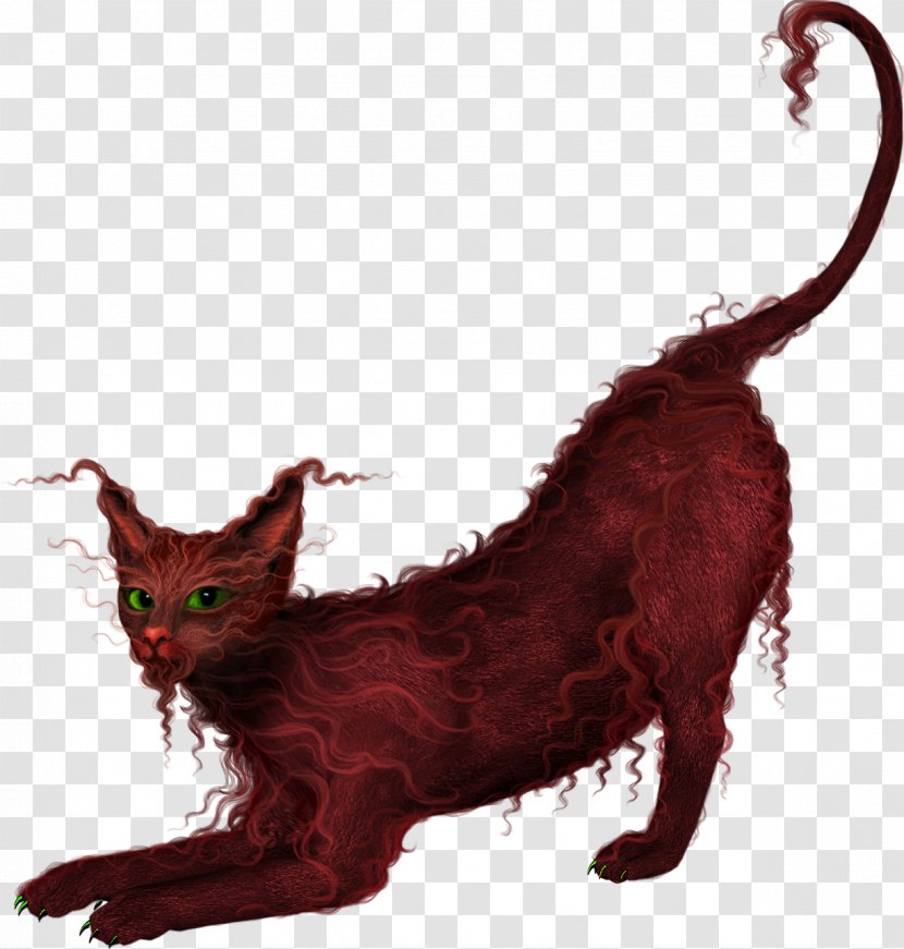 Cat Kitten Dog Animal Clip Art - Mammal - Fantasy Transparent PNG