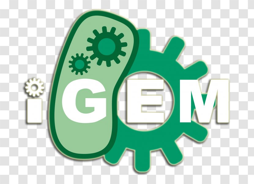International Genetically Engineered Machine Synthetic Biology Genetics 0 - Technical Team Transparent PNG