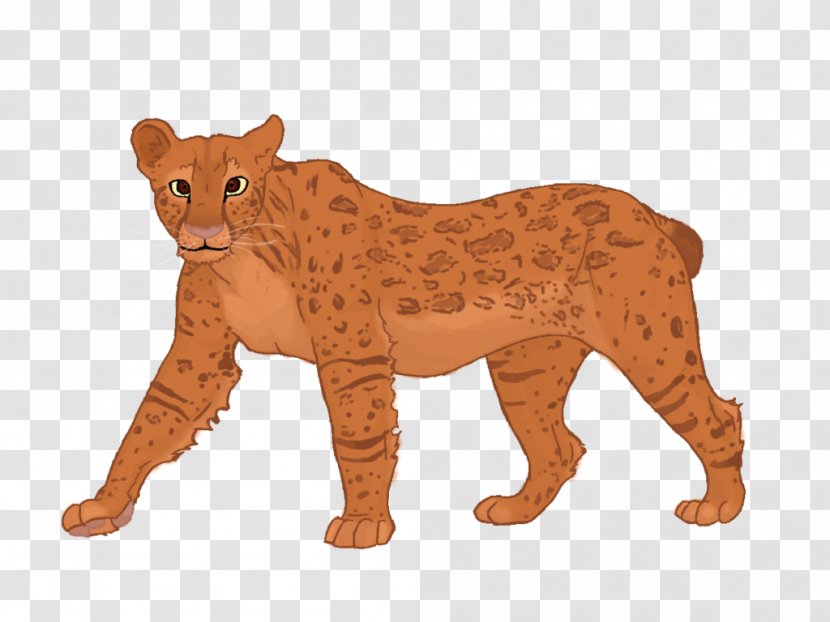 Lion Big Cat Terrestrial Animal Puma - Cats Transparent PNG