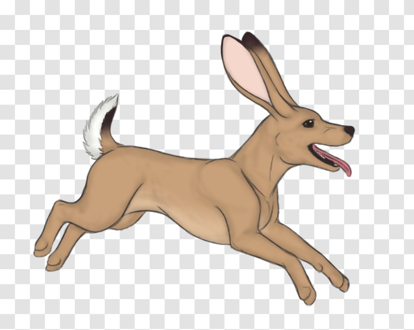 Dog Breed Domestic Rabbit Puppy Hare Transparent PNG