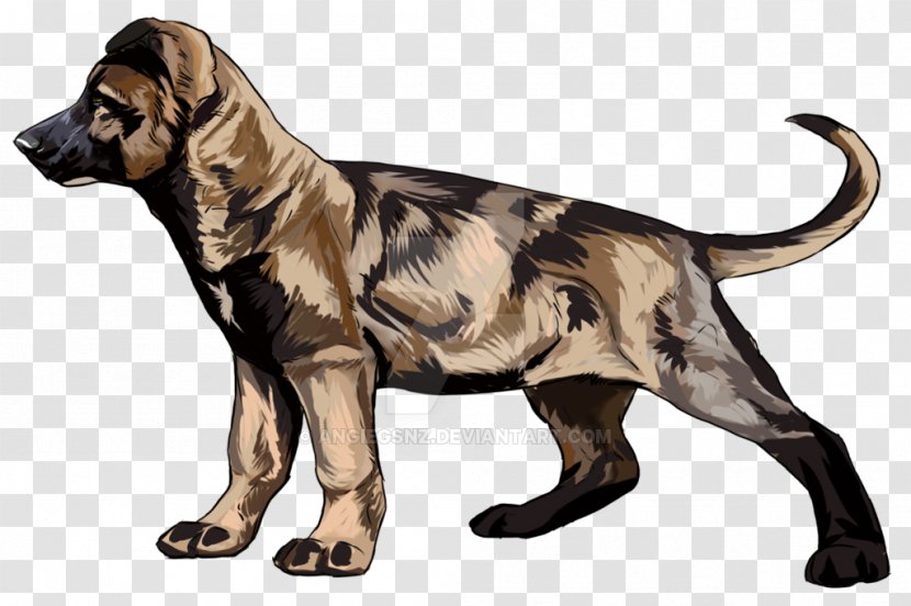 Dog Breed Crossbreed Transparent PNG