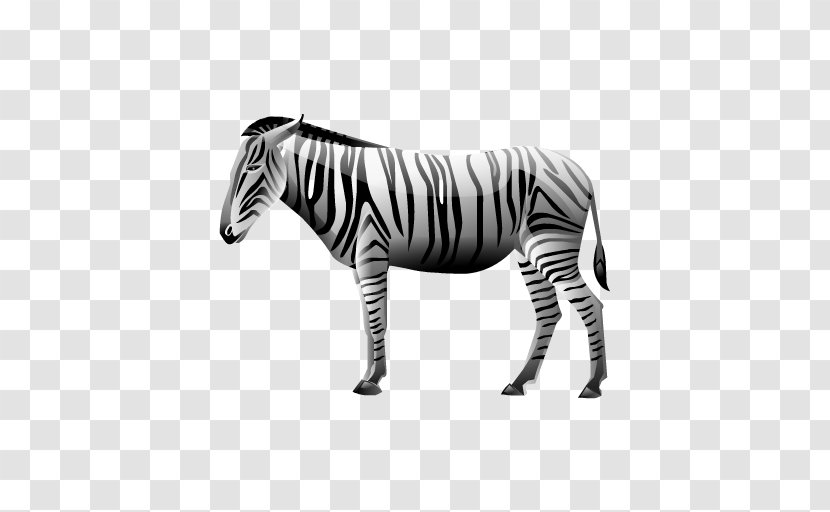 Quagga Computer Network Clip Art - Horse Like Mammal - Image File Formats Transparent PNG