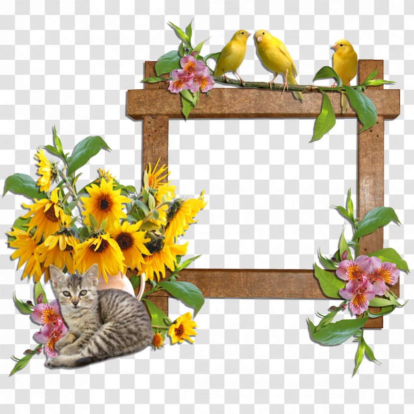 Picture Frames Cat Domestic Animal Flower Clip Art - Yellow Frame Transparent PNG
