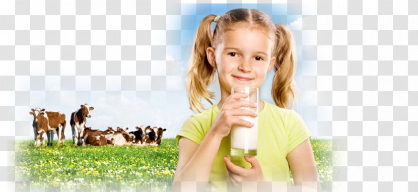 Goat Milk Cattle Dairy Products - Flower Transparent PNG
