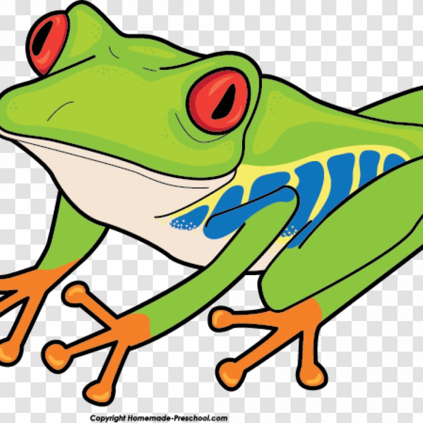 Tree Frogs Clip Art Red-eyed Frog - Redeyed - Fish Praying Transparent PNG