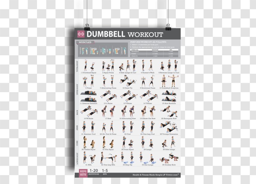 Dumbbell Bodyweight Exercise Weight Training Strength - Fitness Centre - Male Lifting Dumbbells Transparent PNG