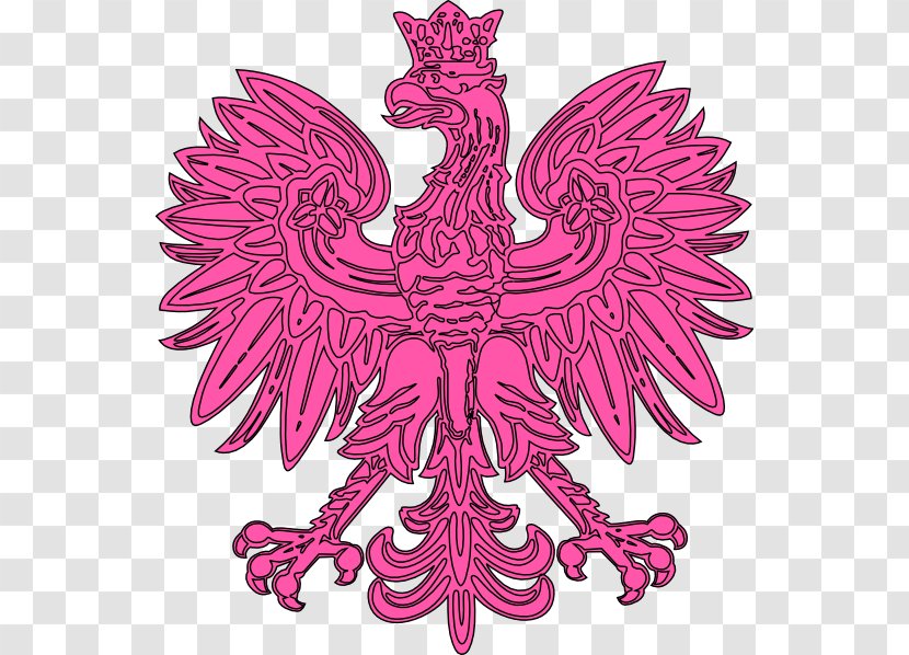 Coat Of Arms Poland Clip Art - Cartoon - Nail Ads Transparent PNG