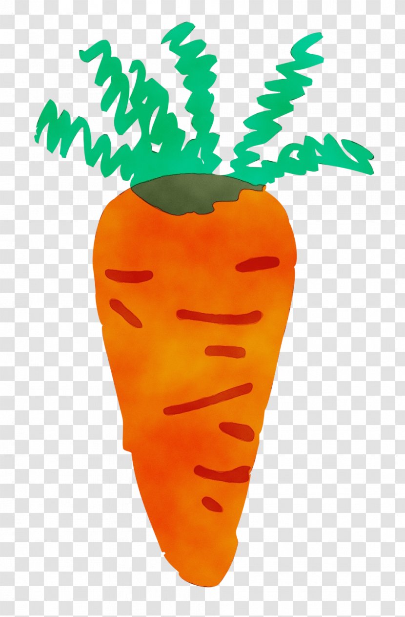 Carrot Root Vegetable - Watercolor Transparent PNG