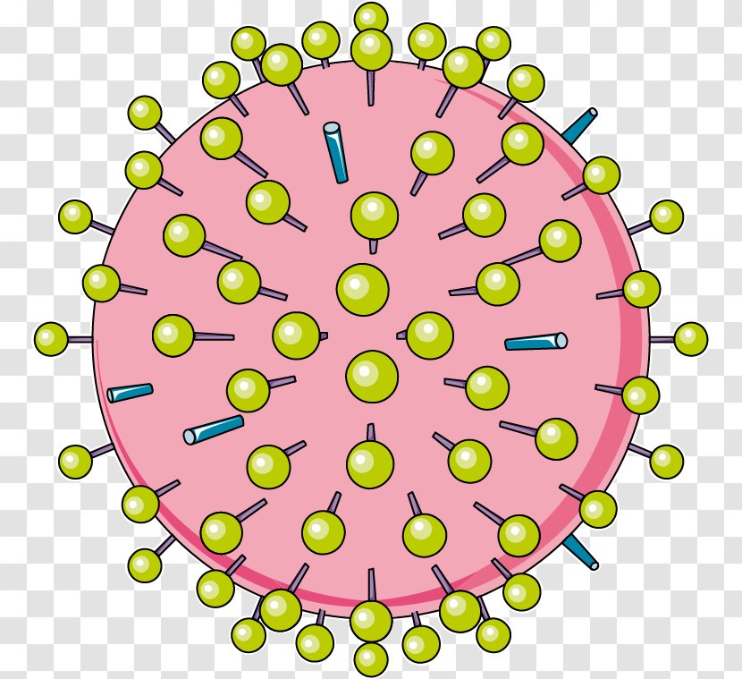 Virus Influenza Laboratoires Servier Medicine - Medical Imaging - Cyprinid Herpesvirus 3 Transparent PNG