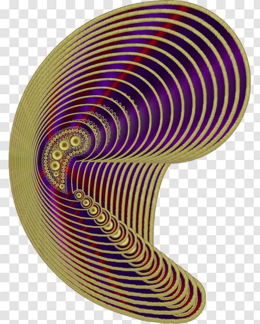 Nautiluses Line Transparent PNG