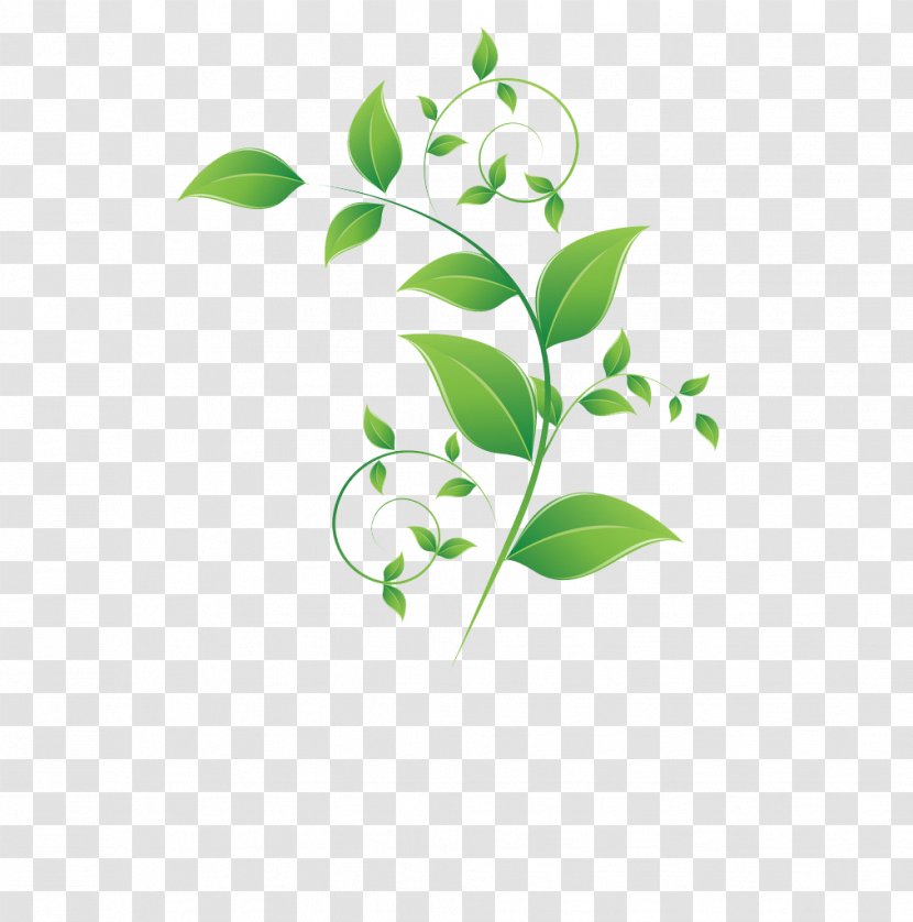 Leaf Adobe Illustrator Green - Stock Photography Transparent PNG