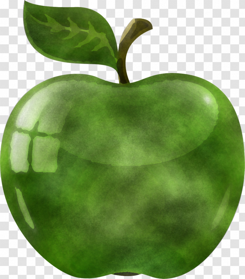 Green Leaf Fruit Apple Plant Transparent PNG