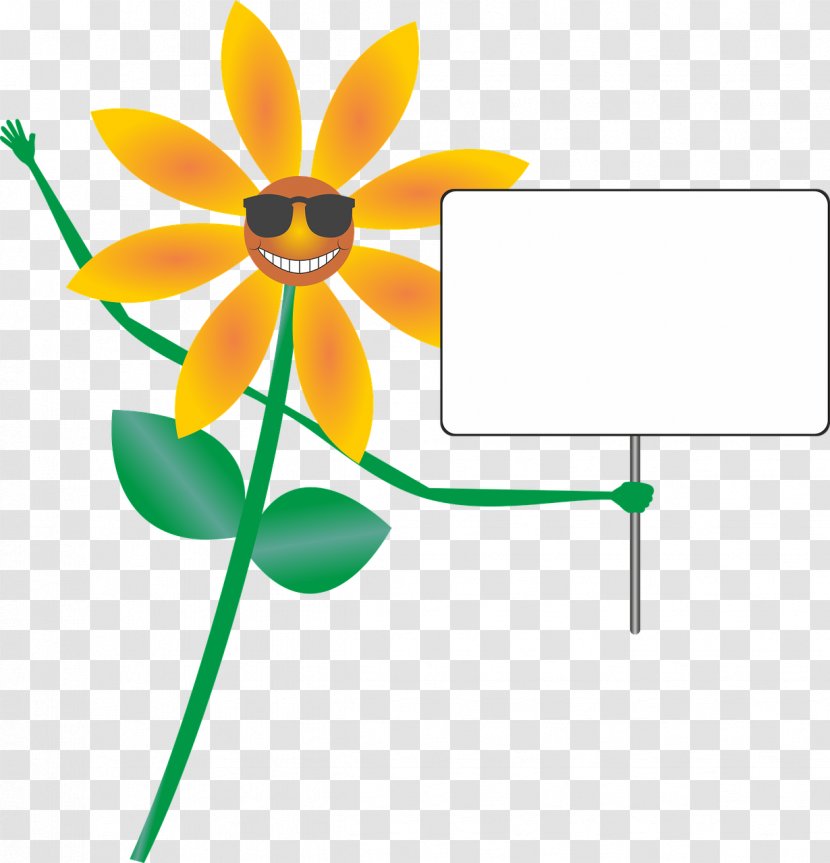 Młodzieżowy Dom Kultury School Clip Art - Area - Smiling Sunflower Transparent PNG